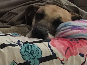 Meet your Posher, Peyton